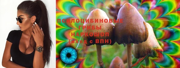 прущий лед Няндома