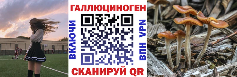 Псилоцибиновые грибы GOLDEN TEACHER  Мышкин 